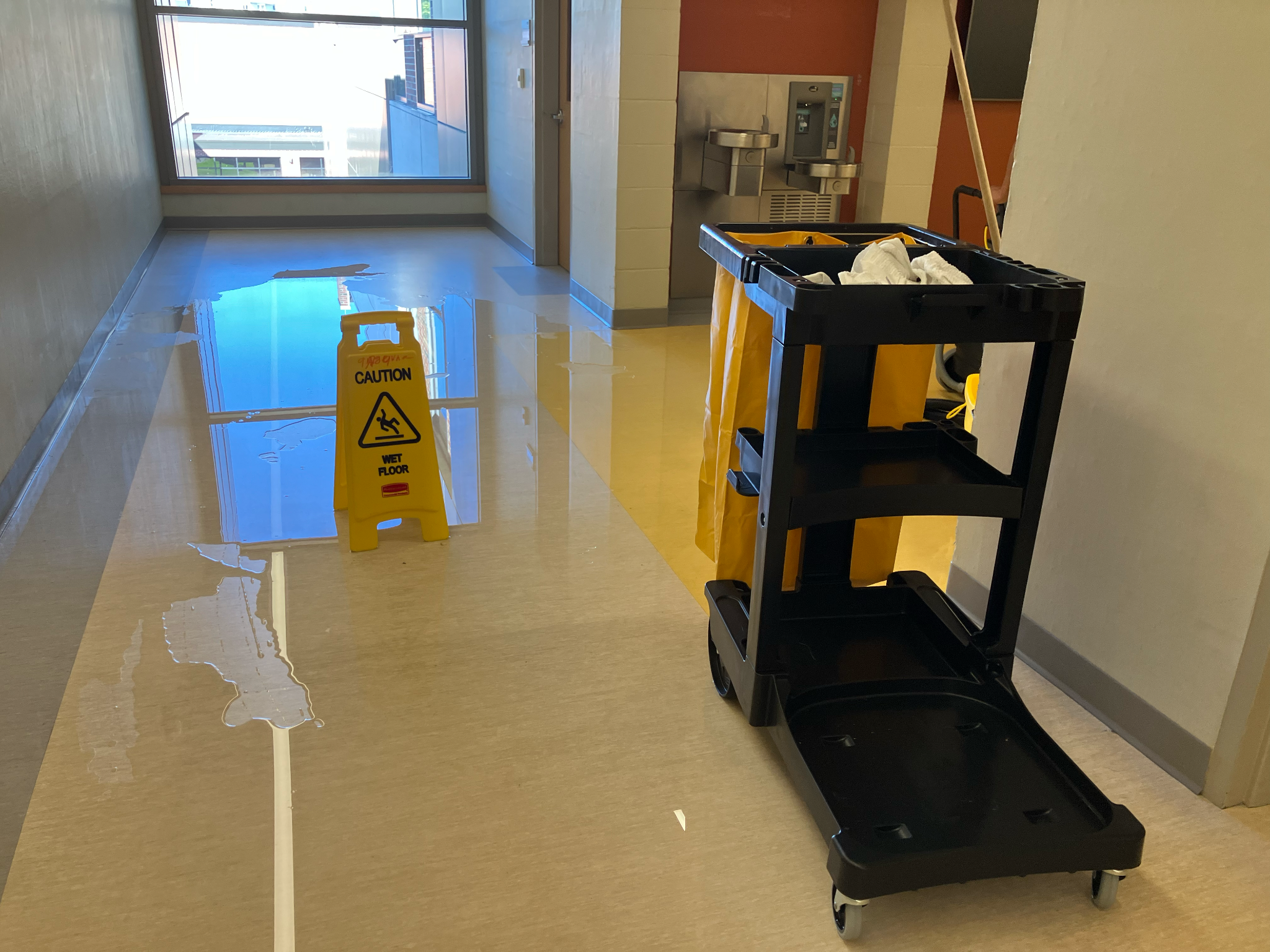 Not Just Plumbing Troubles: “Toilet Paper Bandit” Floods Higgins Hall